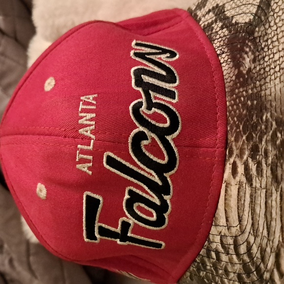 Mitchell & Ness Vintage 90's Atlanta Falcons RSVP Gallery Snakeskin Snapback Hat - Picture 5 of 16